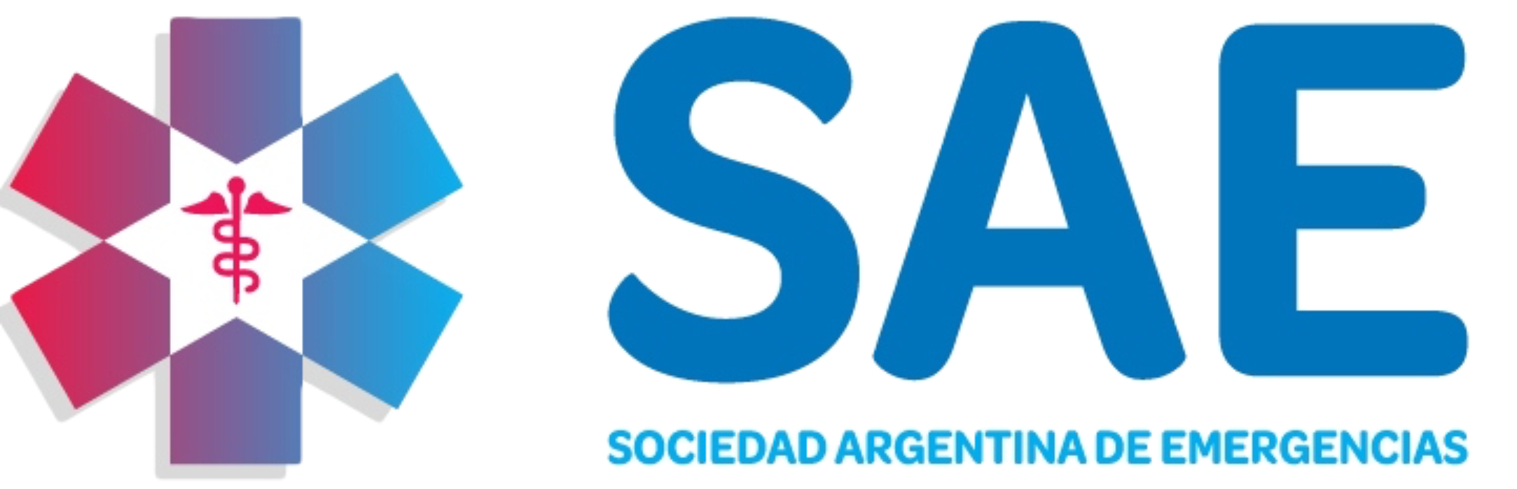 Logo_SAE@3x